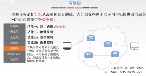 計(jì)算機(jī)網(wǎng)絡(luò)體系結(jié)構(gòu) 技術(shù)開(kāi)發(fā)與服務(wù)的基石